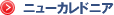�j���[�J���h�j�A