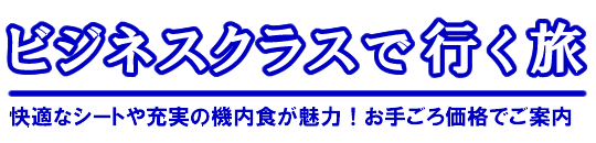 �r�W�l�X�N���X�ōs����