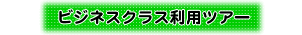 �r�W�l�X�N���X���p�c�A�[