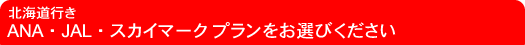 �k�C���s�� ANA�EJAL�E�X�J�C�}�[�N�v���������I�т�������