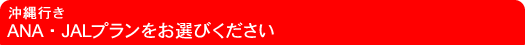 ����i�ߔe�V�e�B�A�{�����]�[�g�A�Ί_���A�{�Ó��A���l���A���\���j�s�� ANA�EJAL�v���������I�т�������