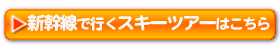 �V�����ōs���X�L�[�c�A�[�͂�����