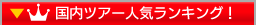 ���������c�A�[�l�C�����L���O