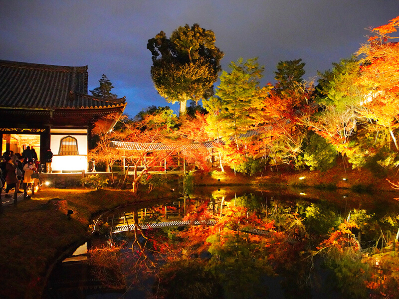 紅葉
