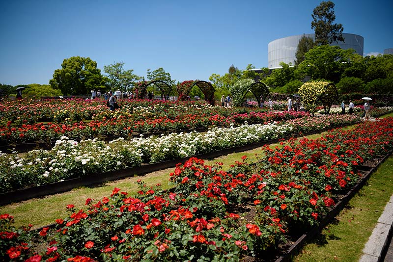 万博記念公園