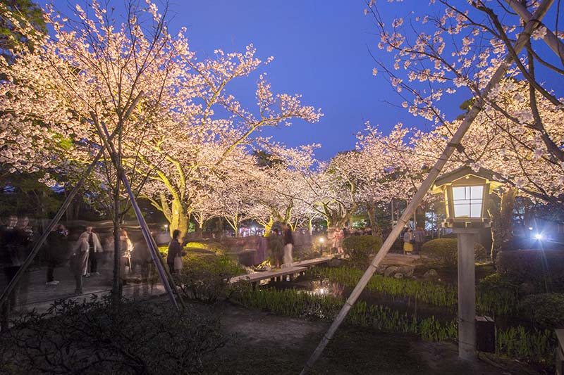 兼六園