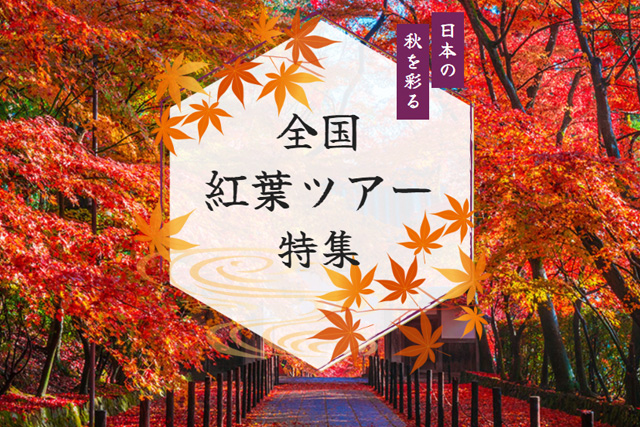 国内ツアー 国内旅行の予約サイト タビックス