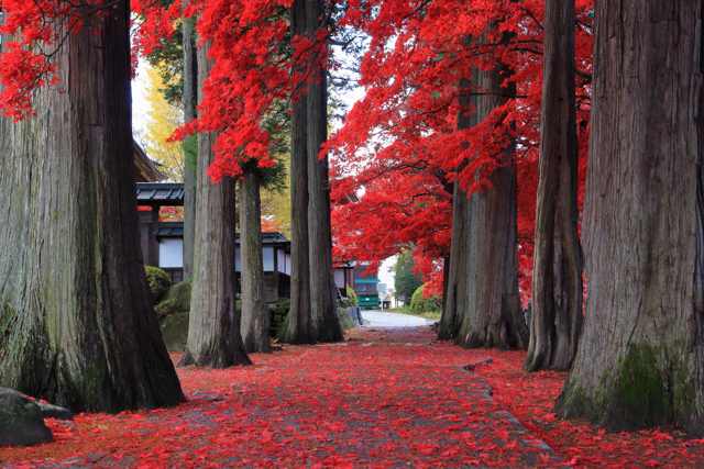 長円寺