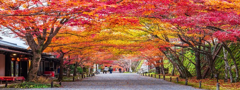 大原三千院 イメージ