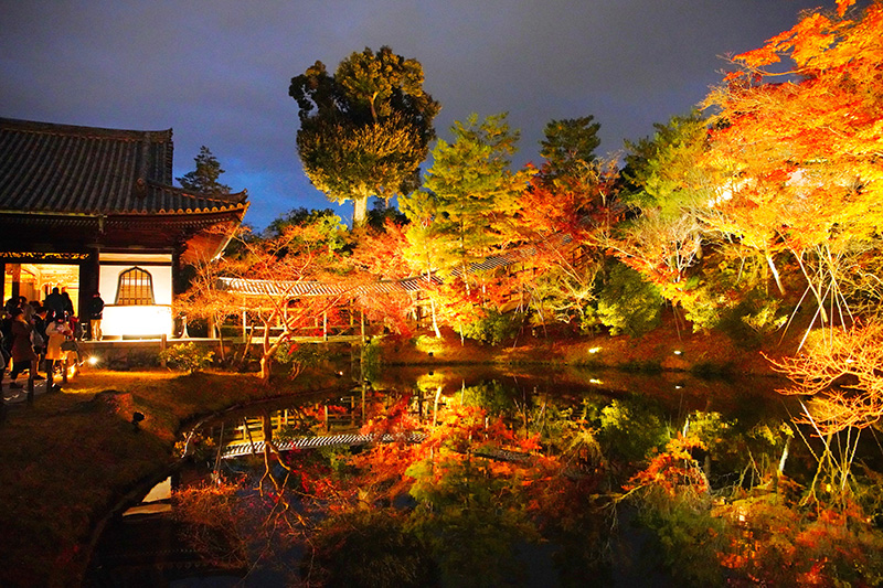 高台寺の紅葉 イメージ