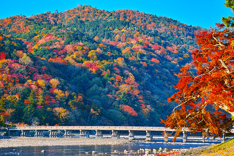 嵐山の紅葉 イメージ