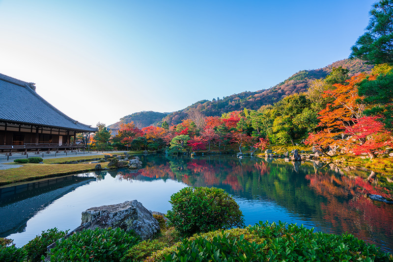 天龍寺の紅葉 イメージ