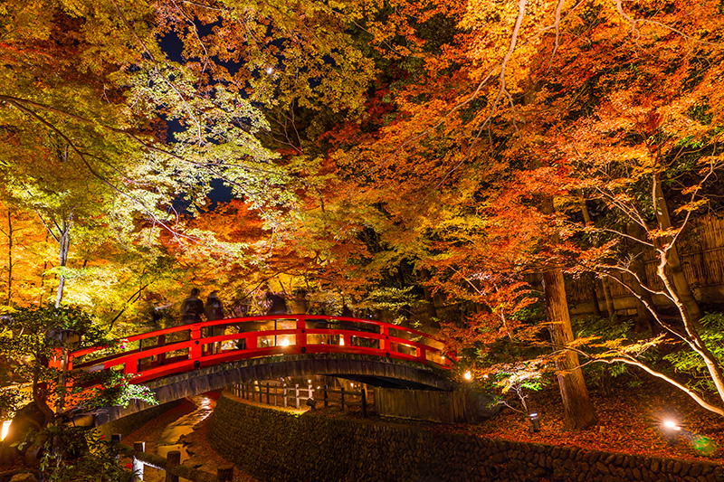 北野天満宮の紅葉 イメージ