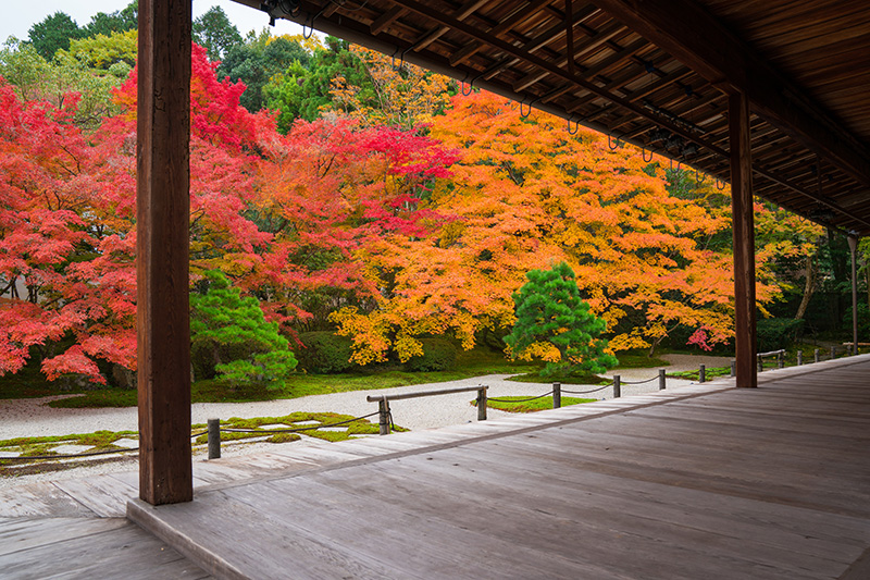 天授庵の紅葉 イメージ