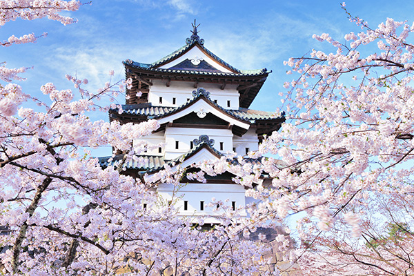 弘前公園の桜 イメージ