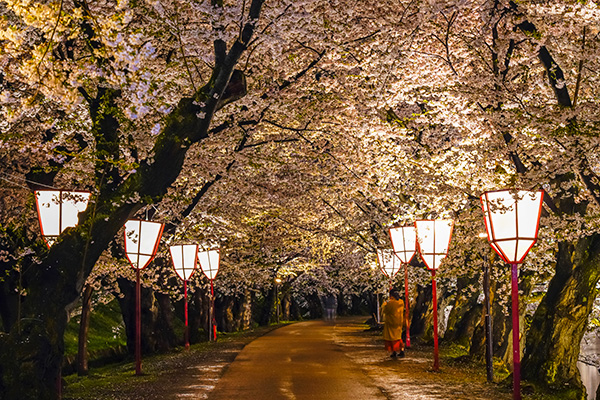 弘前公園 桜のトンネル イメージ