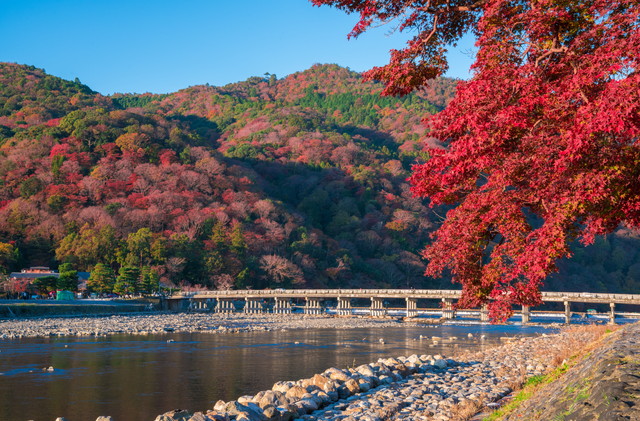 嵐山 渡月橋（イメージ）