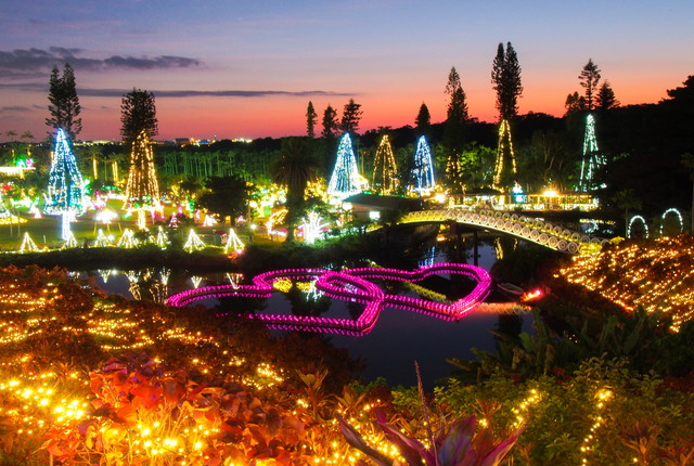 イルミネーション