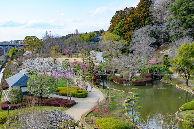 偕楽園 水戸の梅まつり（イメージ）