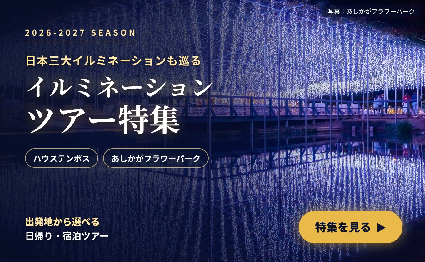 イルミネーションツアー特集