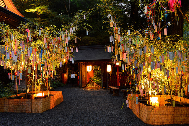 貴船神社「七夕笹飾りライトアップ」（イメージ）