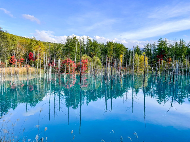 白金青い池（イメージ）