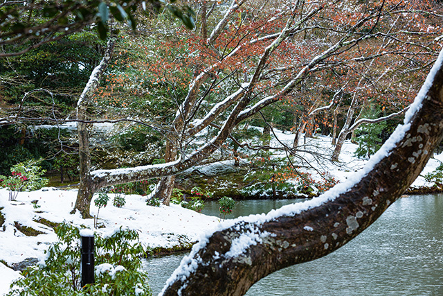冬の金閣寺　庭園（イメージ）
