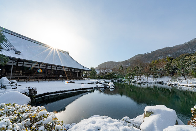 冬の天龍寺（イメージ）
