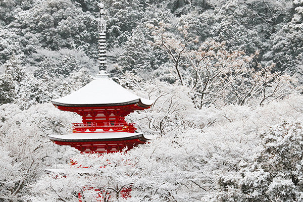 清水寺　雪景色（イメージ）