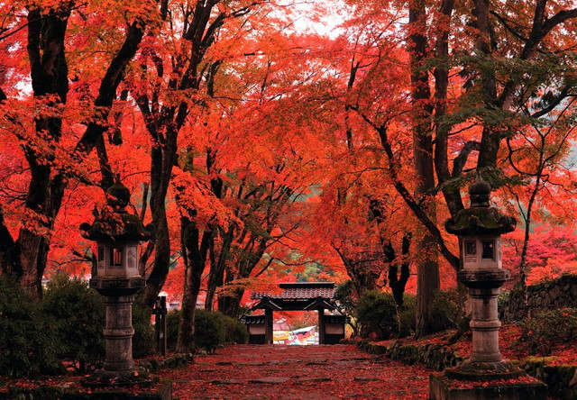 高源寺 紅葉（イメージ）