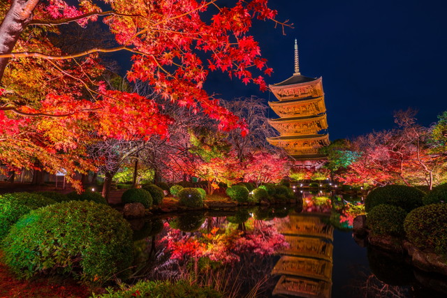 東寺ライトアップ（イメージ）