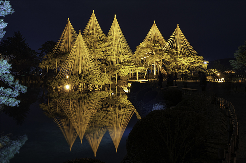 兼六園／夜（イメージ※雪吊りは11月以降開始）