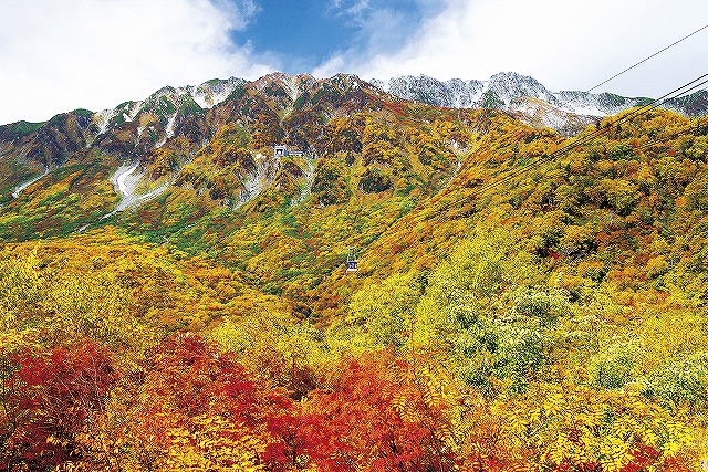 立山黒部アルペンルート 紅葉（イメージ）