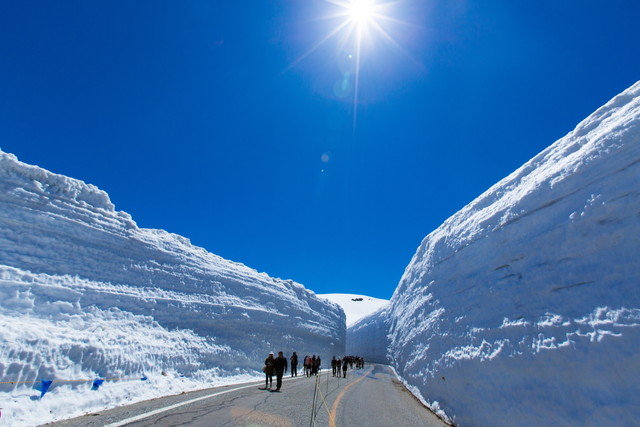雪の大谷ウォーク（イメージ）