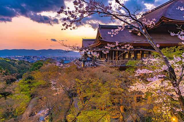 清水寺 夜間特別拝観（イメージ）