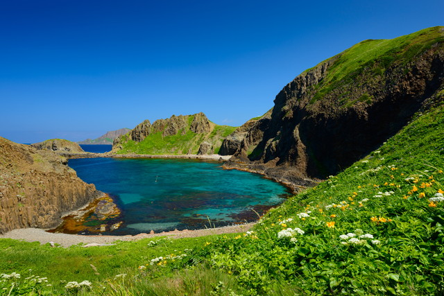 礼文島 澄海岬（イメージ）