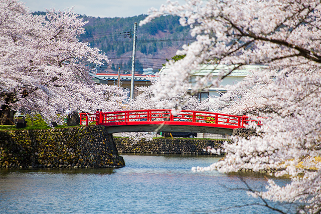 菱門橋と桜（イメージ）