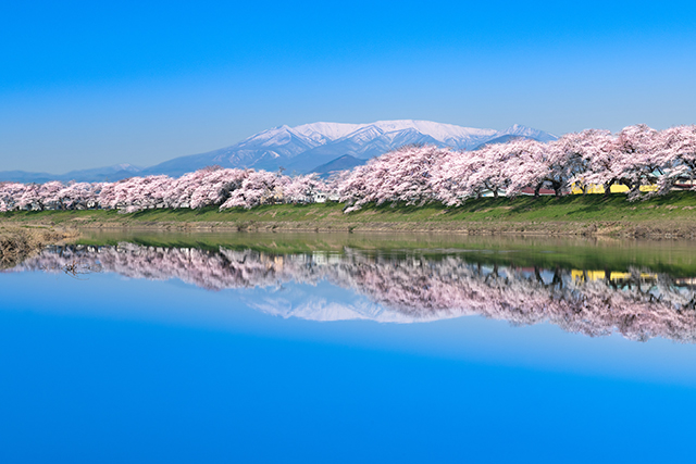 一目千本桜と残雪の蔵王連峰（イメージ）