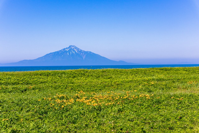 サロベツ原生花園より望む日本最北の百名山利尻富士（イメージ）