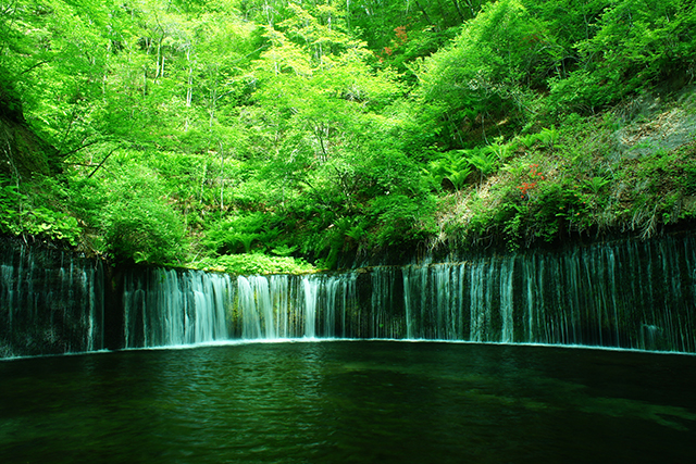 白糸の滝