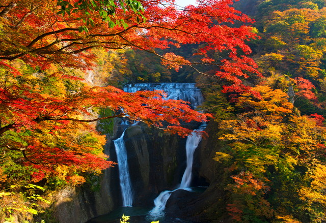 袋田の滝 紅葉（イメージ）