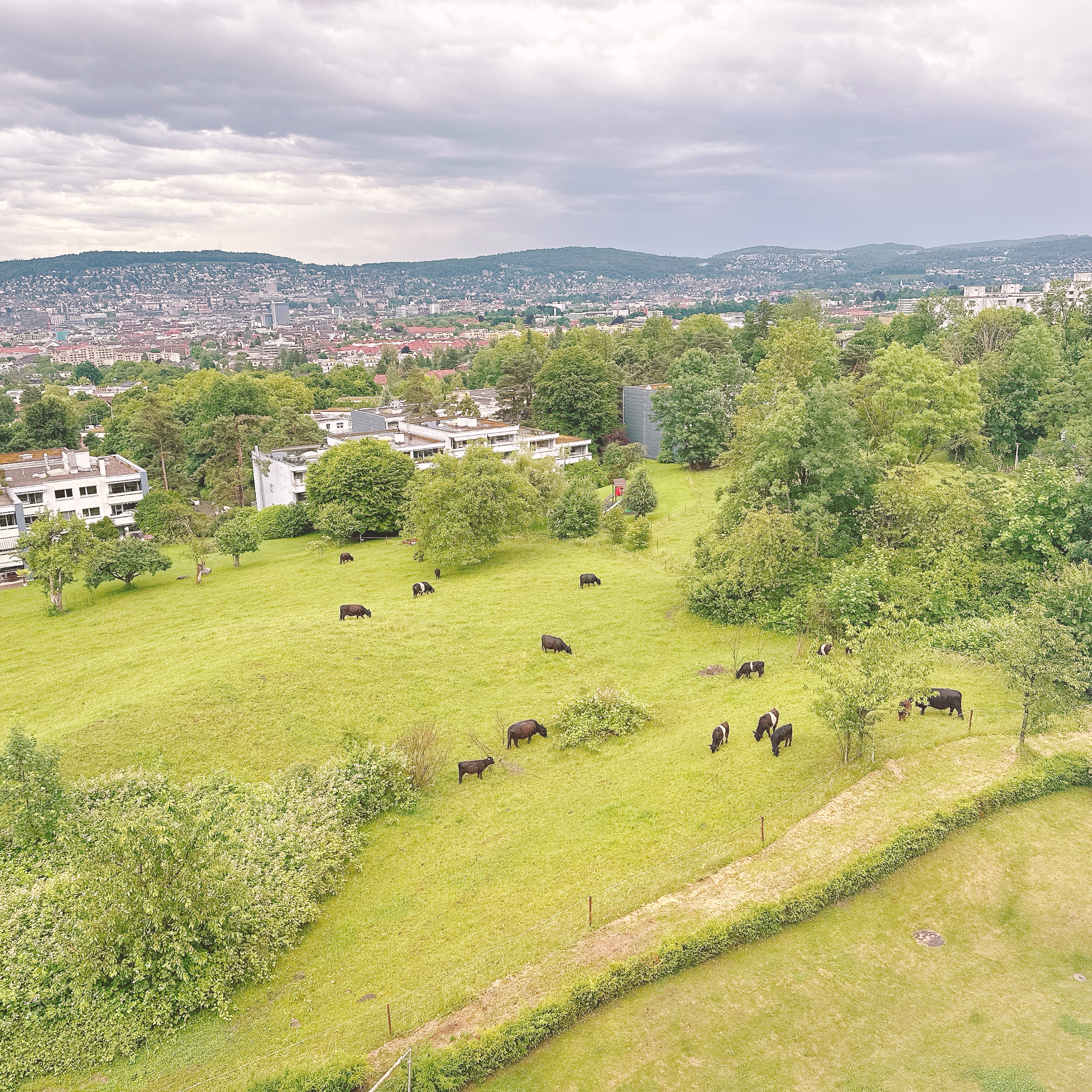 ファイブホテルから眺めるチューリッヒの街