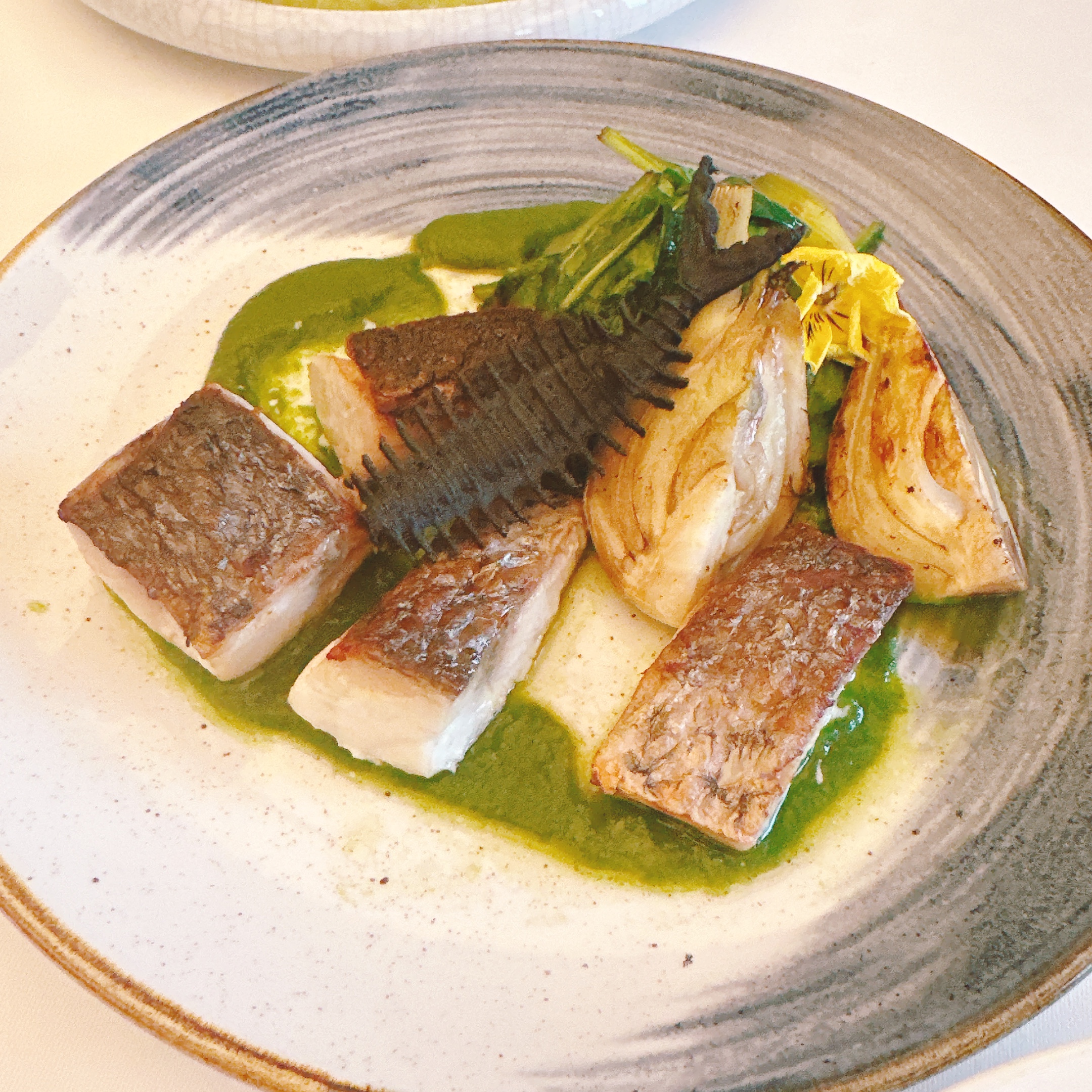 ファイブホテル「CINQUE STUDIO」のスズキのグリル