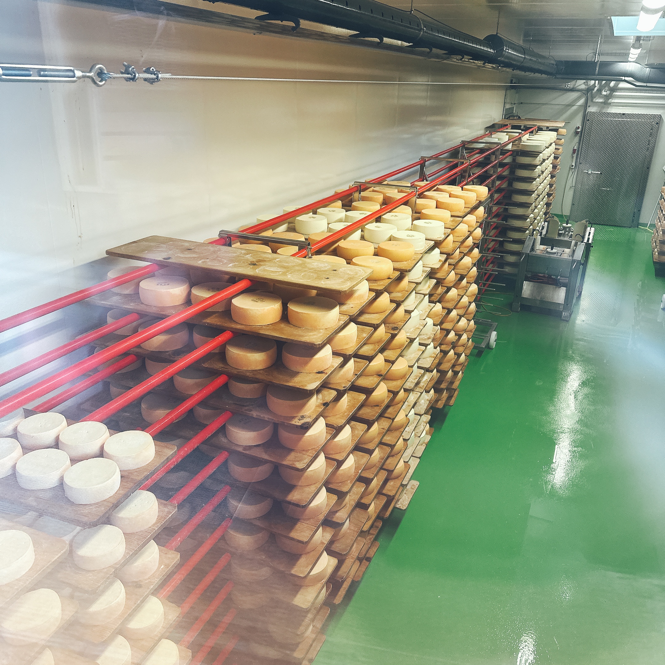 ミルクファクトリー