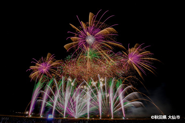 大曲の花火 -秋の章-