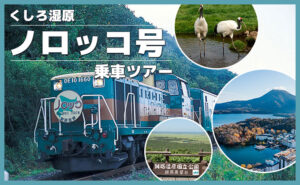 ノロッコ号乗車ツアー