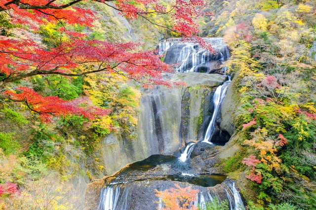 袋田の滝 紅葉（イメージ）