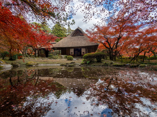 九年庵 紅葉（イメージ）