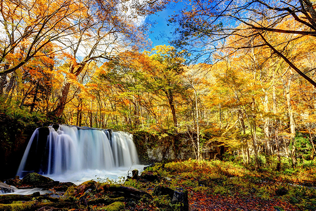 銚子大滝 紅葉(イメージ)