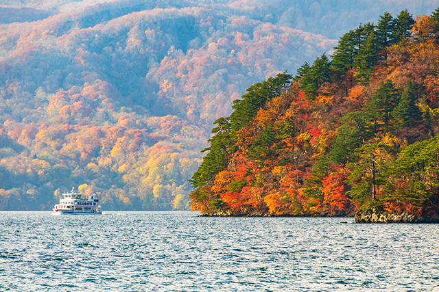 十和田湖遊覧船 紅葉(イメージ)
